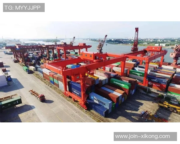 2025俱乐部身价涨幅排行榜揭晓巴黎领跑车枪皇紧随其后